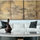 Susan Cohen Design