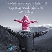 Foto von Barbara Potnik