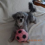 James Hannah's photo