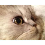 Julie Clermont's photo