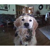 Doris Boeckman's photo