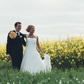 Jan Volckaert's photo