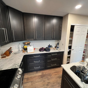 Castle Rock 23-Day Kitchen Remodel