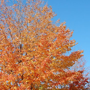 Kennebunkport