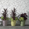 Crescent Garden Madison Planter, Double-Walled Plant Pot, 16" Weatherd Terrcotta