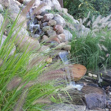 Waterfall Ideas