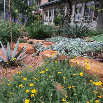 Xeriscape #1