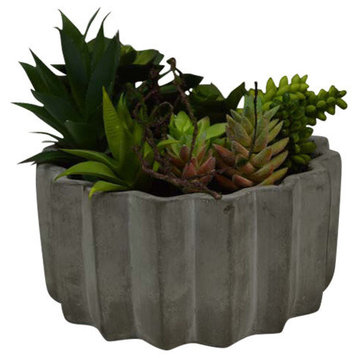 Succulent Plant Planter Planter