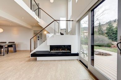 Example of a minimalist living room design in Denver