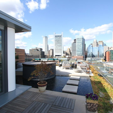 City Rooftops