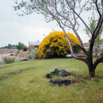 Xeriscape Projects