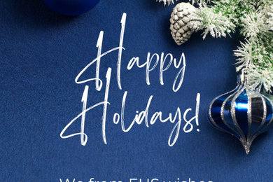 Blue White Modern Wish Happy Holidays Greeting Instagram Story.png