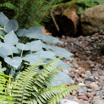 Lytle Road, Bainbridge Island - Shaded Creek