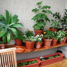 5 Keys to Beautifully Maintain Rental Property Landscape