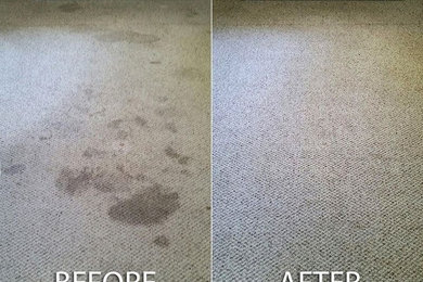 Before & After Carpet Stain Removal in Atlanta, GA