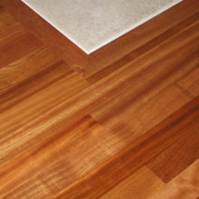 Transitional Strip