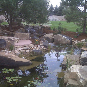 Beautiful Waterfall And Koi Pond - Greeley, CO