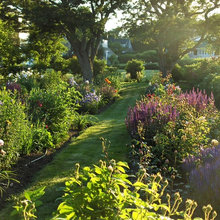 garden inspiration