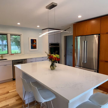 Modern Kitchen Remodel