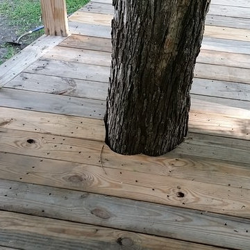 Real Tree House - Real House on a tree