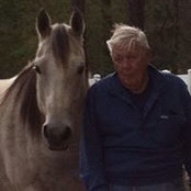 Susan Anderson's photo