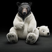 Monte Hawkins's photo