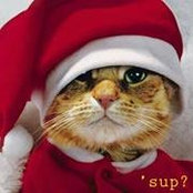 Kate Brady's photo