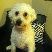 Melissa Kuzma's photo