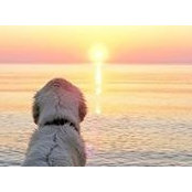 Jenny Holder's photo