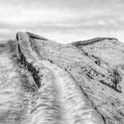 Liam McNulty's photo