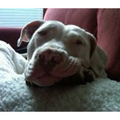 Lauren Grewe's photo