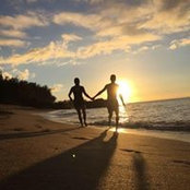 Andrew Hoffman's photo