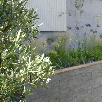 Bordeaux Jardin Public