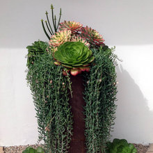 north landscape ideas