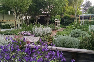 Contemporary garden in Sacramento.