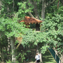 high up treehouse