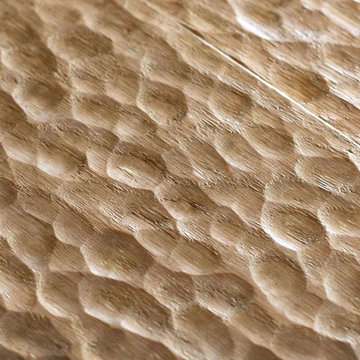 Raptor Tract