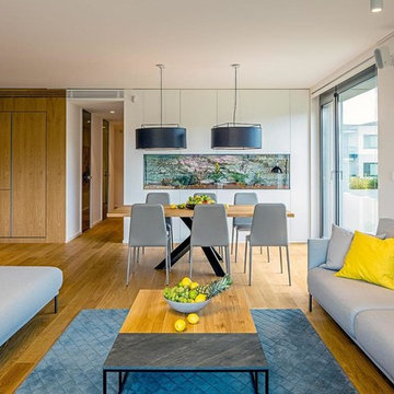 LARGE APARTMENT, VILLA VISTA, BRATISLAVA, SLOVAKIA