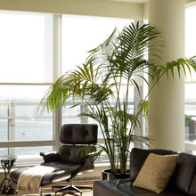 bangalore home  indoor garden