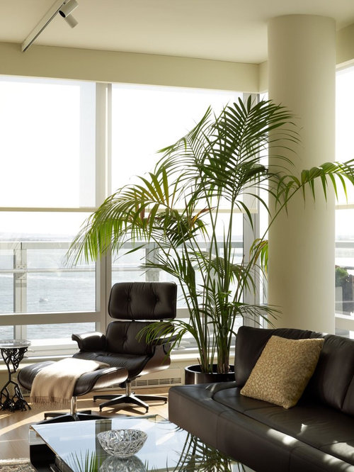 palm trees living room ideas & photos | houzz