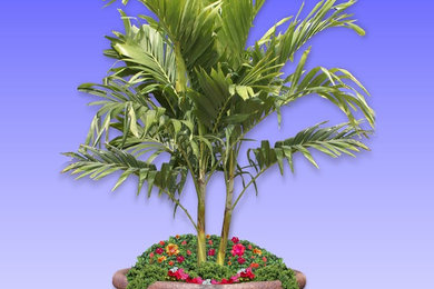container gardening