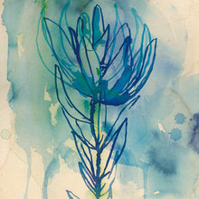 Jessica Lee's ideas