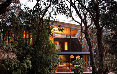 Houzz Tour: Native Trees Are Part of This Home’s Design