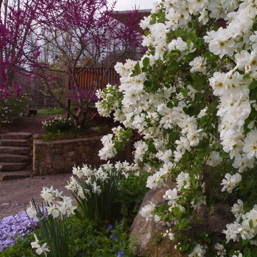Snow Day™ 'Blizzard' Pearl-Bush