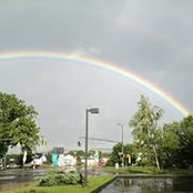 Susan King's photo