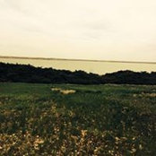Amanda Skiles's photo