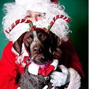 Cindy Conti's photo