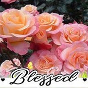 Arlenne Julian's photo