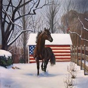 Sue Suber's photo