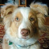 Gayle Seratt's photo